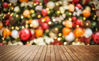 Obeleženje državnega praznika samostojnosti in enotnosti ter božično-novoletnih praznikov
